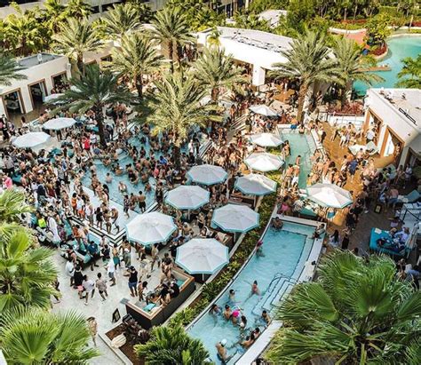daer nightclub|daer day club hollywood.